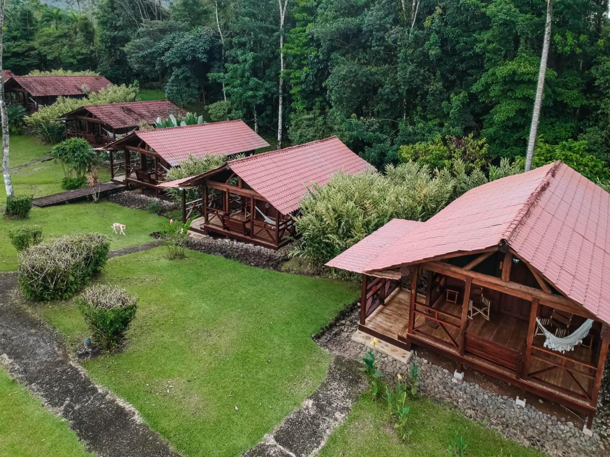 La Anita Rain Forest Colonia Dos Rios Bagian luar foto
