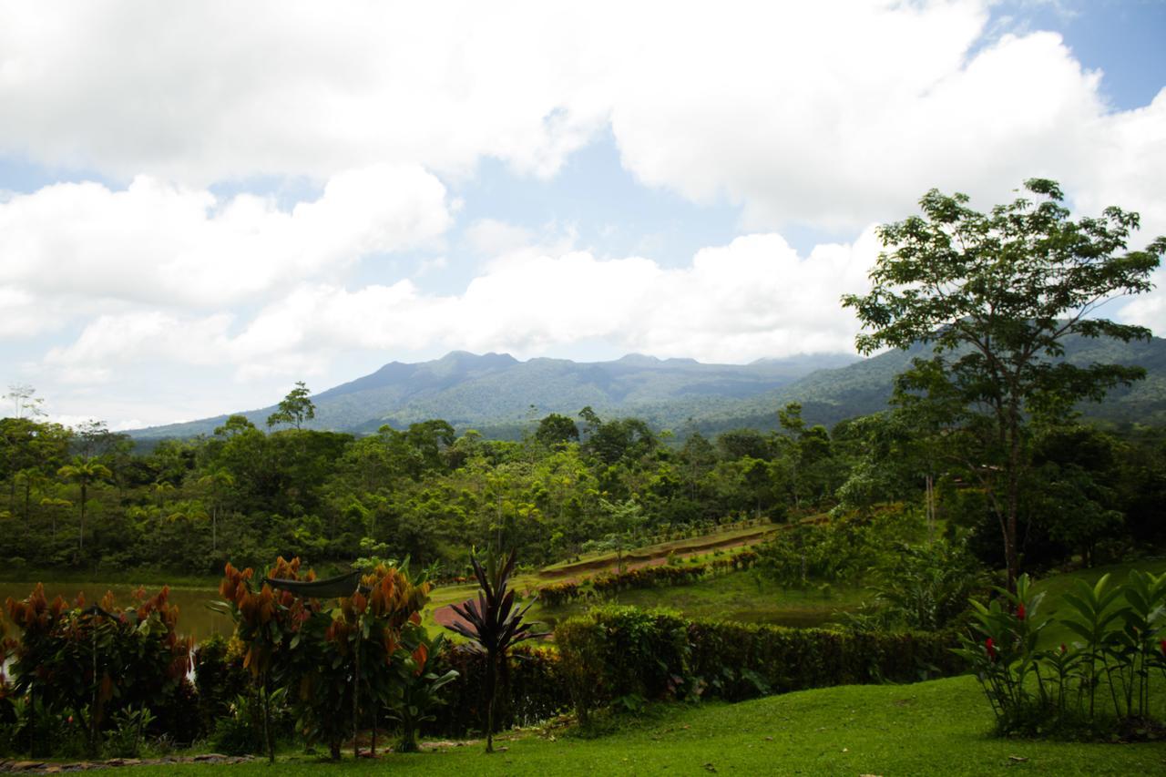 La Anita Rain Forest Colonia Dos Rios Bagian luar foto