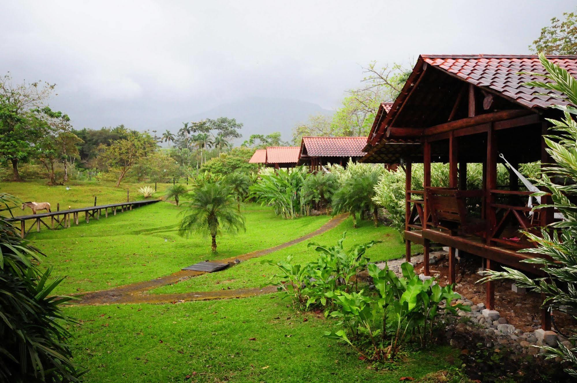 La Anita Rain Forest Colonia Dos Rios Bagian luar foto