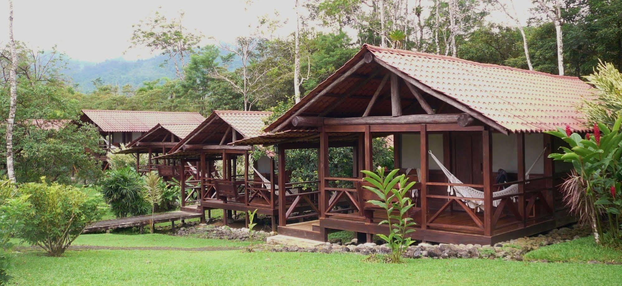La Anita Rain Forest Colonia Dos Rios Bagian luar foto